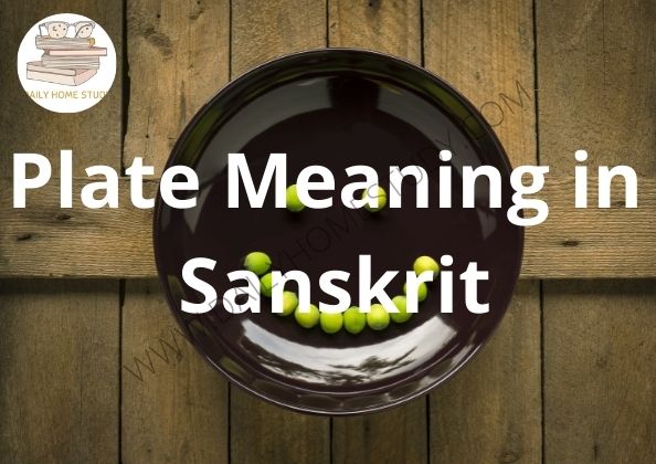 Plate Meaning in Sanskrit | DailyHomeStudy