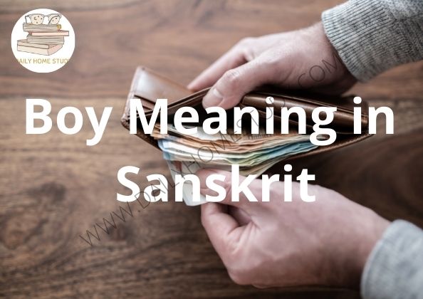 Wallet Meaning in Sanskrit | DailyHomeStudy