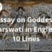 Essay on Goddess Sarswati in English 10 Lines | DailyHomeStudy