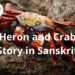 Heron and Crab Story in Sanskrit | DailyHomeStudy
