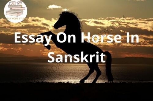 Horse Essay in Sanskrit with Hindi, English Translation | DailyHomeStudy
