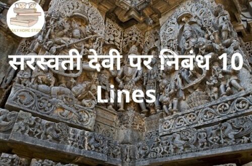 सरस्वती देवी पर निबंध 10 Lines | DailyHomeStudy