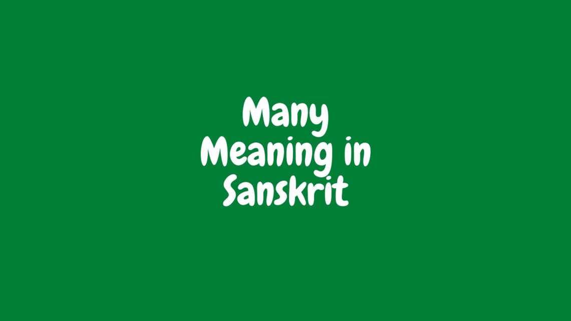 Many Meaning in Sanskrit| English to Sanskrit Meaning| English to Sanskrit Dictionary