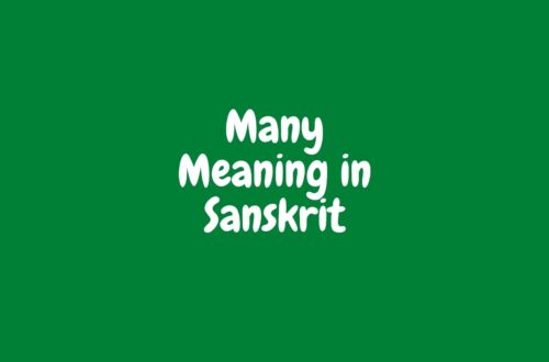 Many Meaning in Sanskrit| English to Sanskrit Meaning| English to Sanskrit Dictionary