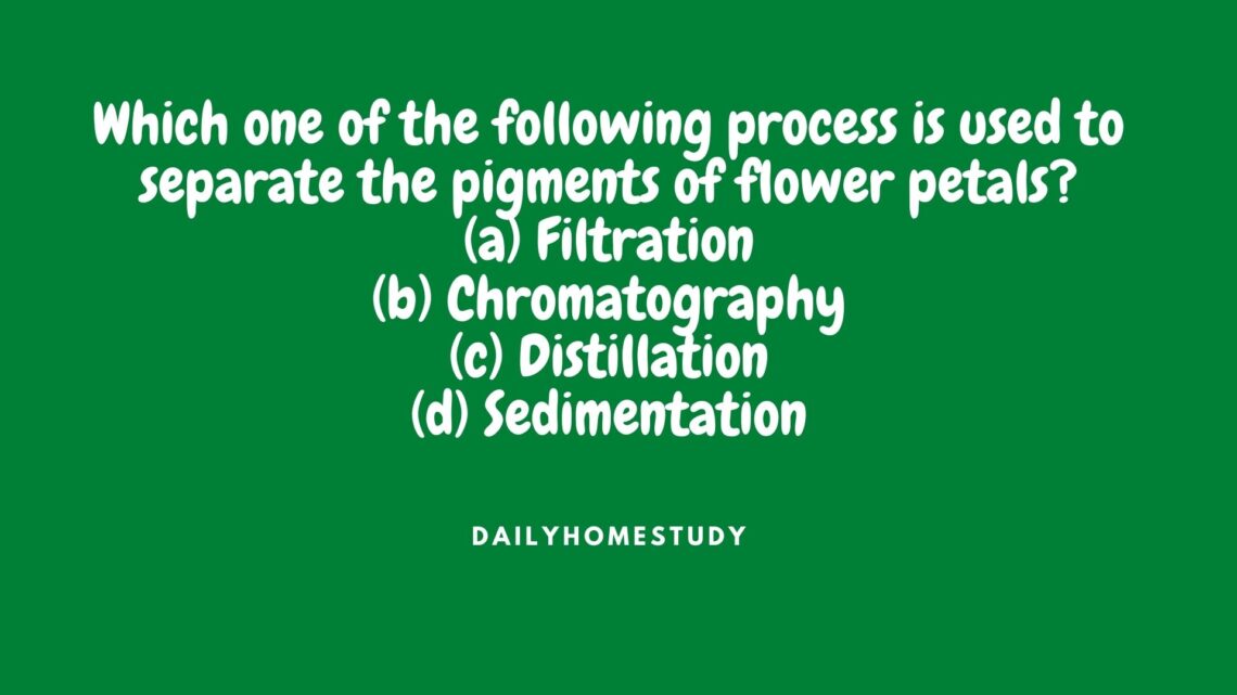 Which Process is Used to Separate the Pigments of flower petal?