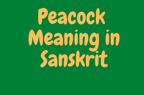 Peacock Meaning in Sanskrit